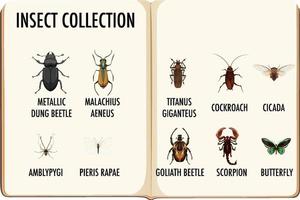 conjunto de colección de insectos en el libro. vector