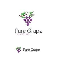 plantilla de diseños de logotipo de uva pura, gran plantilla de logotipo de uva vector
