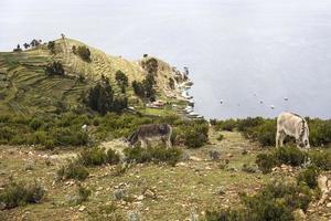 isla del sol en el lago titicaca en bolivia foto