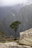 The wilderness in Peru photo