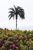 parque del amor en lima, perú foto