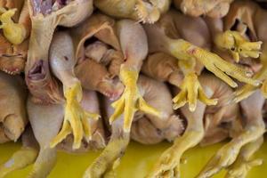 Poultry at the market photo