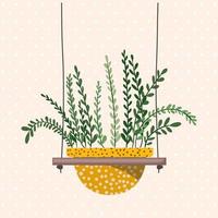 houseplant in a macrame hanger vector