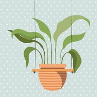 houseplant in a macrame hanger vector