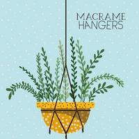 houseplant in a macrame hanger vector