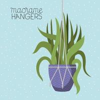 houseplant in a macrame hanger vector