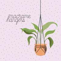 houseplant in a macrame hanger vector