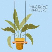 houseplant in a macrame hanger vector