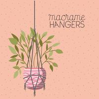 houseplant in a macrame hanger vector