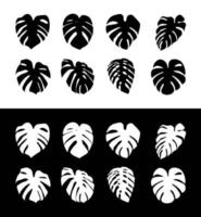 Monstera Deliciosa plant leaf silhouette isolated on background vector