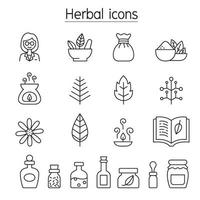 iconos de hierbas en estilo de línea fina vector