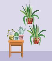 Plantas de interior con perchas de macramé y plantas en macetas en una mesa de madera vector