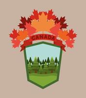 Canada symbol and maple leaves design vector