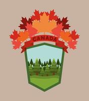 Canada symbol and maple leaves design vector