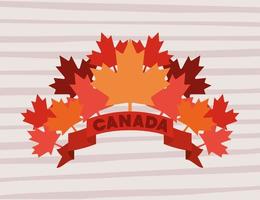 Canada day with maple leaf design vector