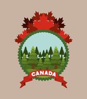 Canada symbol and maple leaves design vector