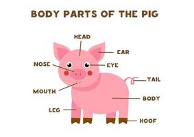 Body parts of the pig. Scheme for children. vector