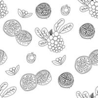 Tropical fruits line seamless pattern. Black and white botanical background. Vector illustration summer monoline.