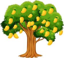 Yellow mango tree isolated on white background vector