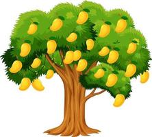 pic Clipart Cartoon Mango Tree Drawing https www vecteezy com vector art 2070040 yellow mango tree isolated on white background