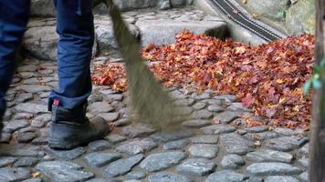 Sweeping the leaves from the floor