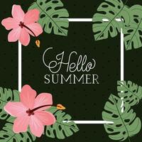 Hello summer and vacation frame design vector