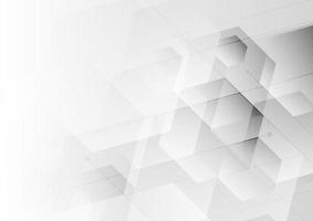 Abstract background white and gray hexagon with diagonal line vector