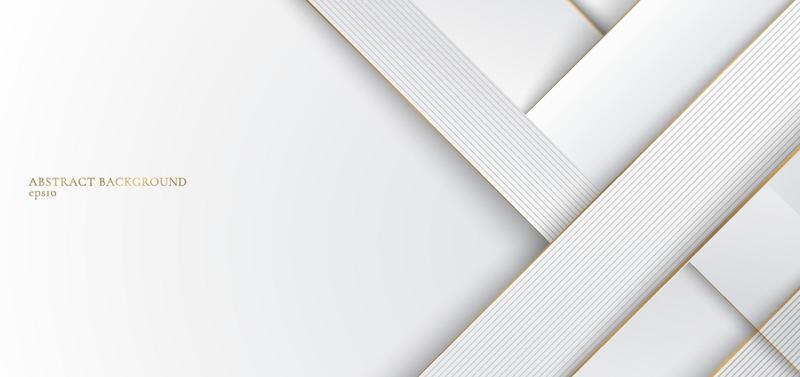 Abstract white and gray stripes with golden line elegant concept design
