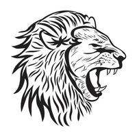 male lion head sketch and drawing vector