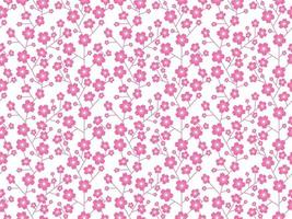 Seamless Cherry Blossom Floral Pattern Isolated On A White Background, Vector Illustration.