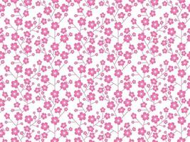 Seamless Cherry Blossom Floral Pattern Isolated On A White Background, Vector Illustration.