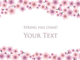 Cherry Blossom Background With Text Space Isolated On A White Background, Vector Illustration.