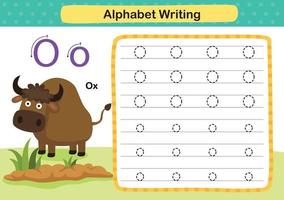 Alphabet Letter O-Ox exercise with cartoon vocabulary illustration, vector