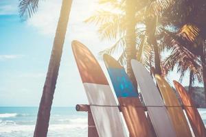 Many surfboards beside coconut trees at summer beach with sun light and blue sky