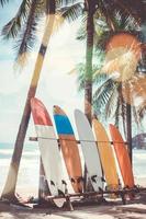 Muchas tablas de surf junto a los cocoteros en la playa de verano con la luz del sol y el cielo azul foto