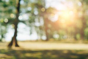 Nature bokeh of green park by beach and tropical coconut trees photo