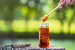 Honey dripping from honey dipper on natural green background photo