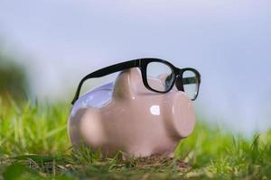 Pink piggy bank with glasses on grass under blue sky photo