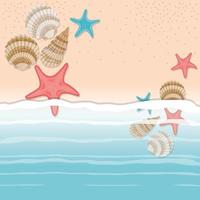 sea shell and star in the sand design vector