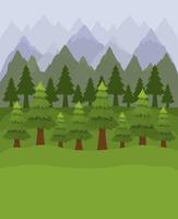 Forest with pine trees design vector