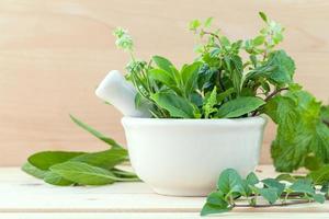 Herbs in a white mortar photo