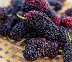 Fresh mulberries in a basket