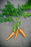 Carrots on a gray background photo