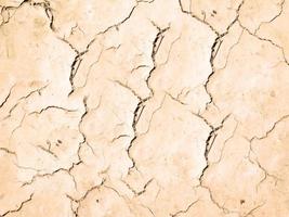 Patch of dry and cracked soil photo