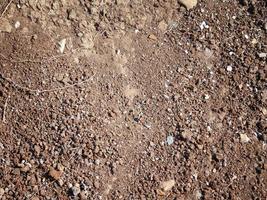 Patch of dirt and soil photo