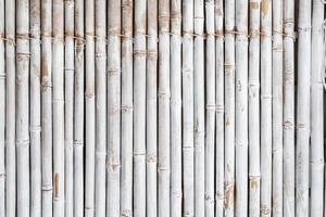 White bamboo fence pattern photo