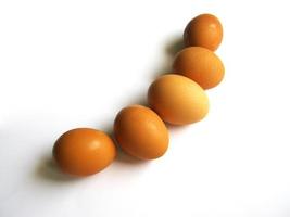 Brown eggs on white background photo