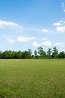 Park with green grass fields with a beautiful park scene background photo