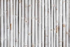 White bamboo fence pattern photo