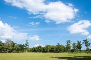 Park with green grass fields with a beautiful park scene background photo